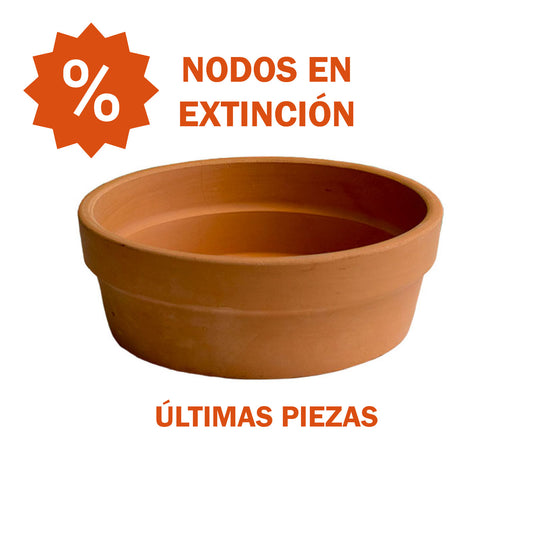 Cajete Tulipan de Barro⚠️4x3⚠️