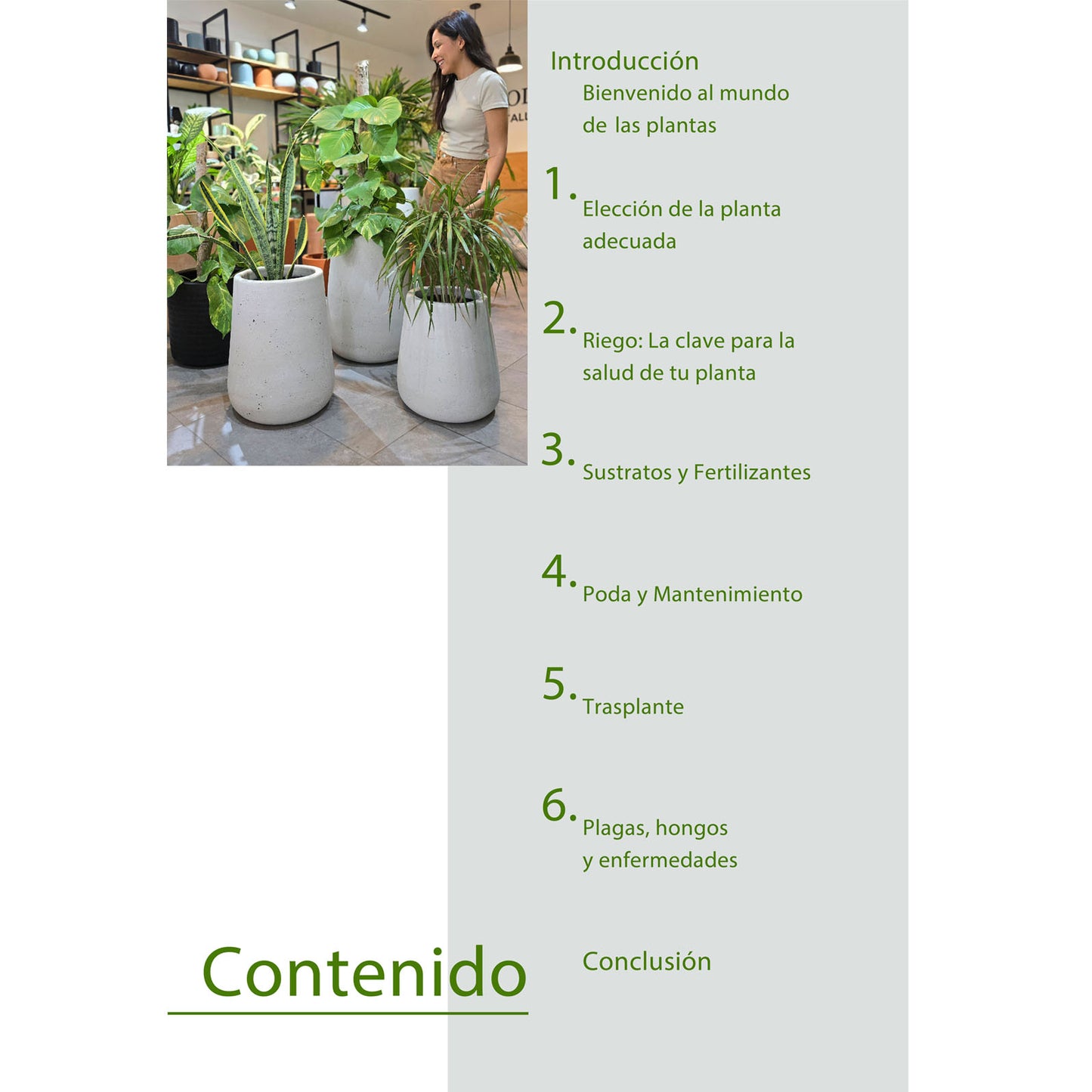 E-book: "Plantas sanas y hermosas, sin complicaciones"