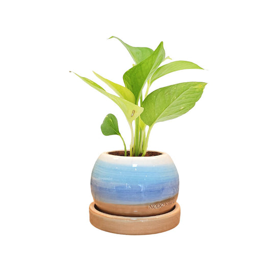 Esfera 8cm Bicolor + Julieta