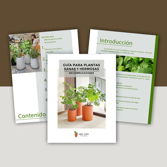 E-book: "Plantas sanas y hermosas, sin complicaciones"