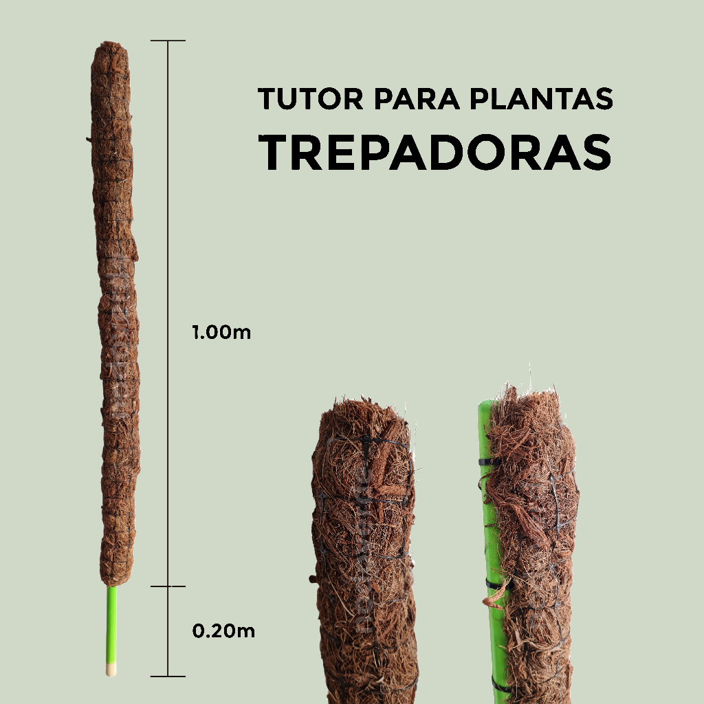 Tutor 1.00m para plantas trepadoras - Guía