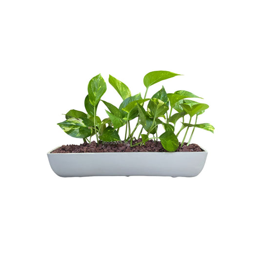 Jardinera rectangular de barro