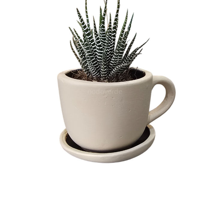 Taza de Barro