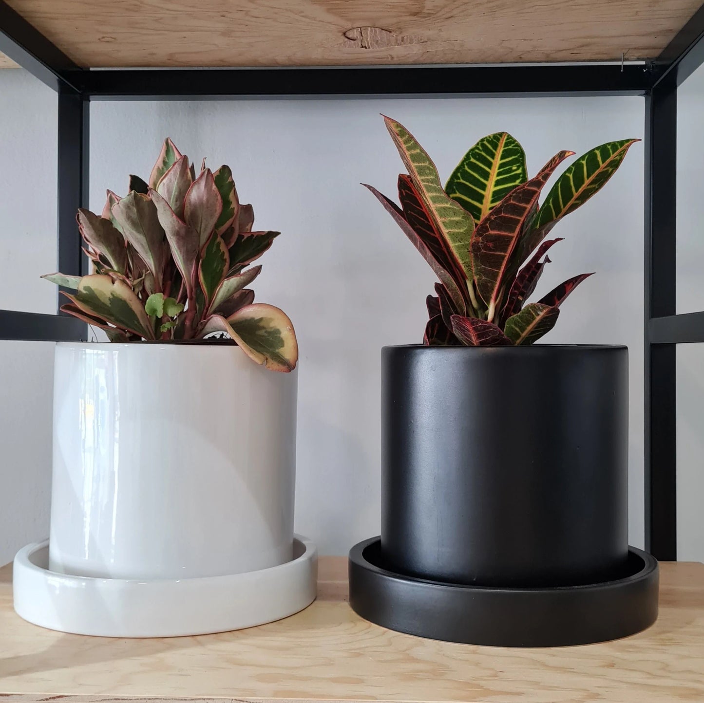 Cilindro 20cm Unicolor