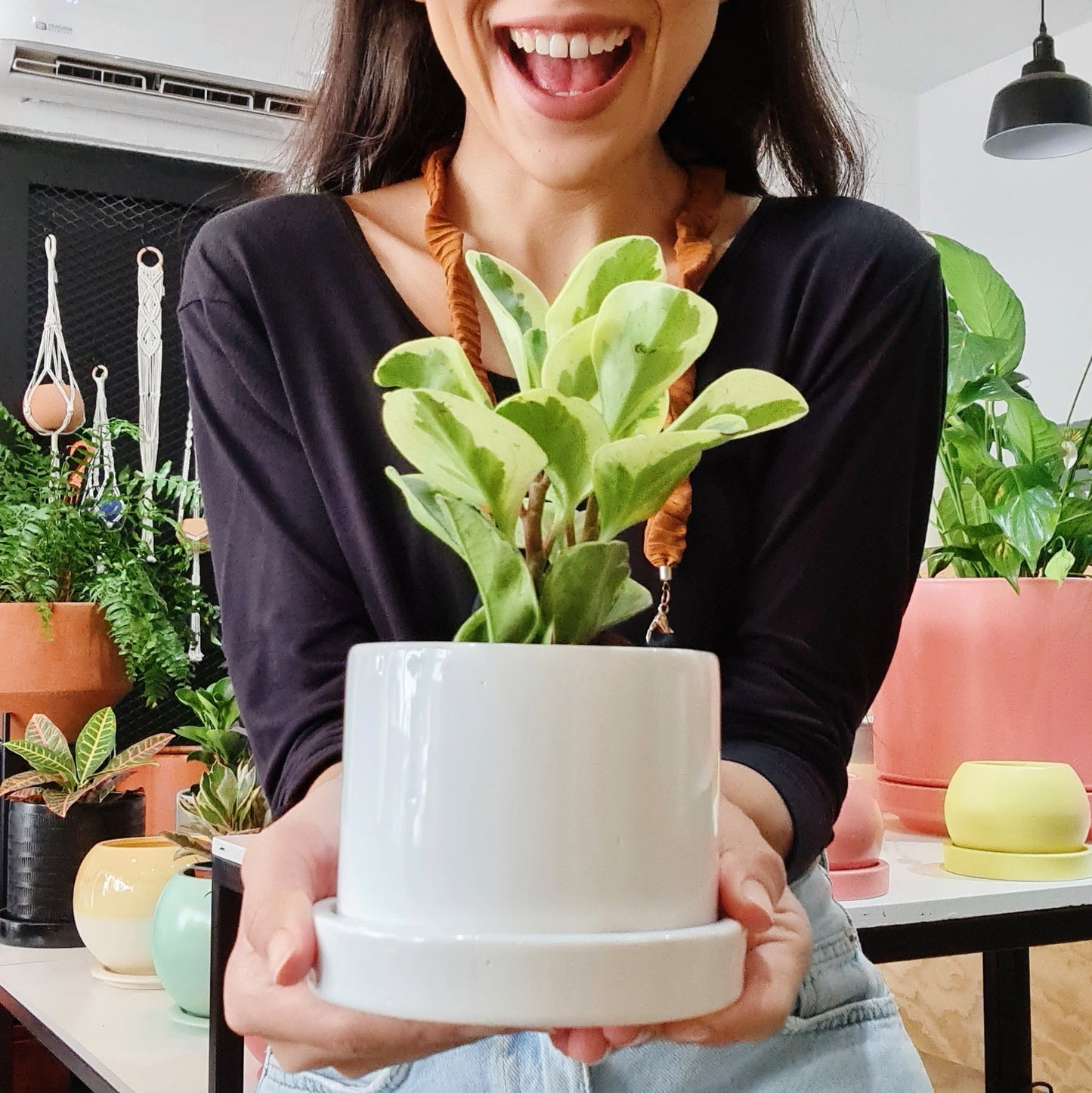 Cilindro + Peperomia