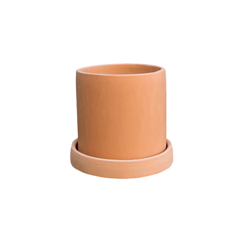 Cilindro B 20cm CON plato