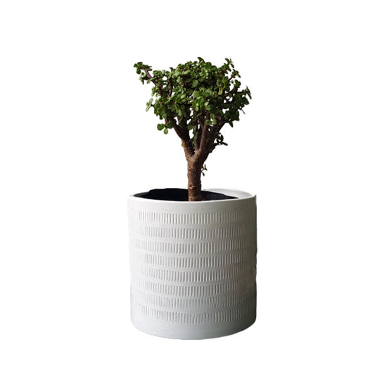 Cilindro B Textura 20cm