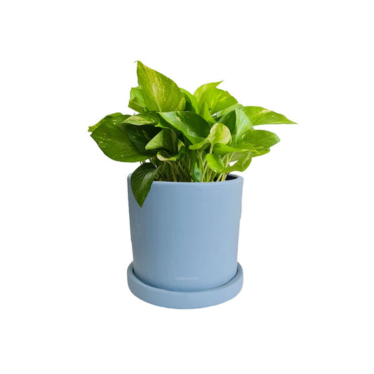 Cilindro B 15cm + Julieta