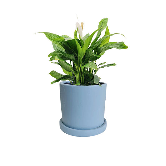 Cilindro B 18cm + Cuna de Moisés