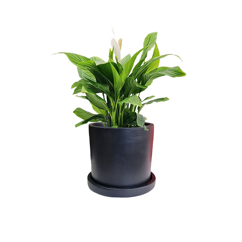 Cilindro B 18cm + Cuna de Moisés