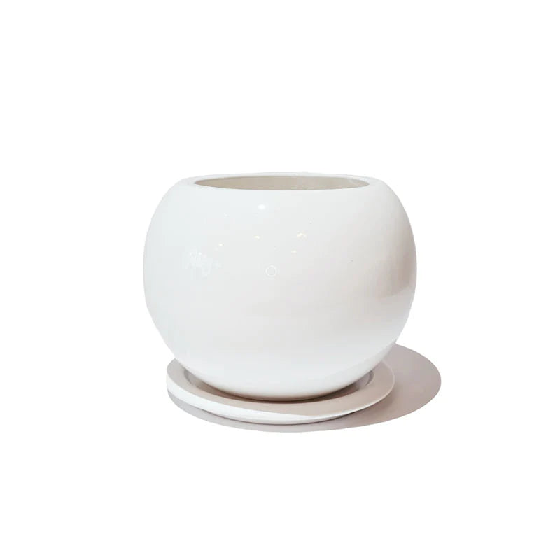 Esfera 18cm Unicolor