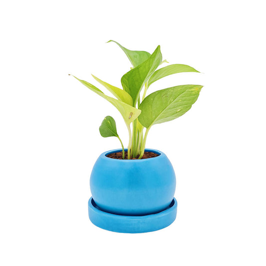 Esfera 8cm + Julieta