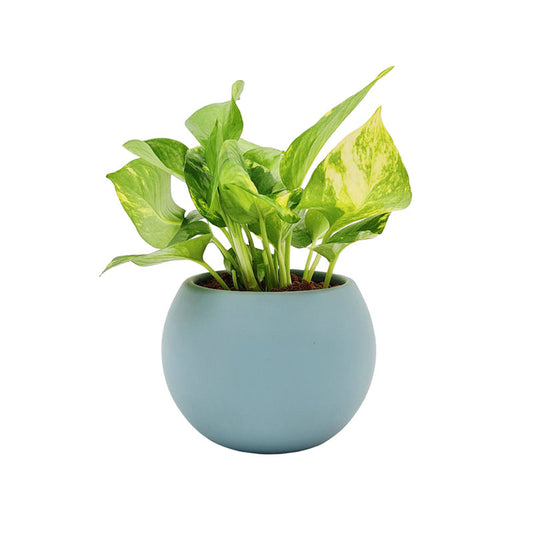 Esfera de Barro 11cm + Julieta