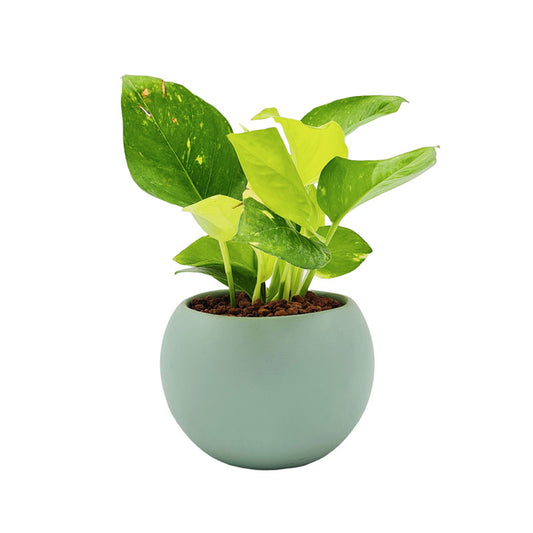 Esfera de Barro 11cm + Julieta