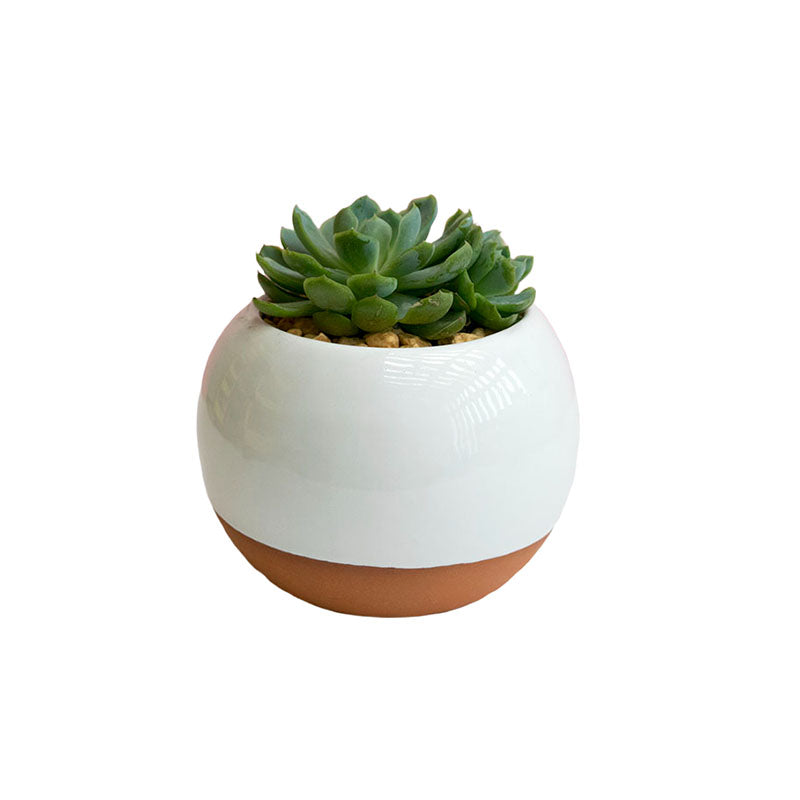 Esfera Menguante