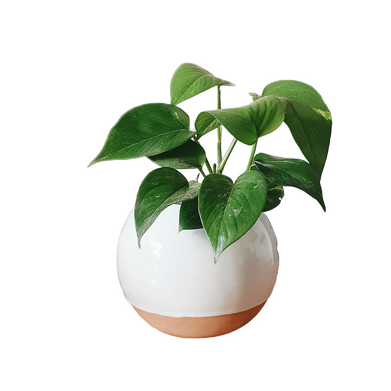 Esfera Menguante
