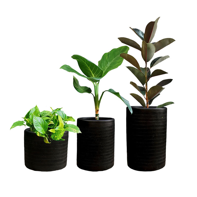 Combo Textura + Plantas
