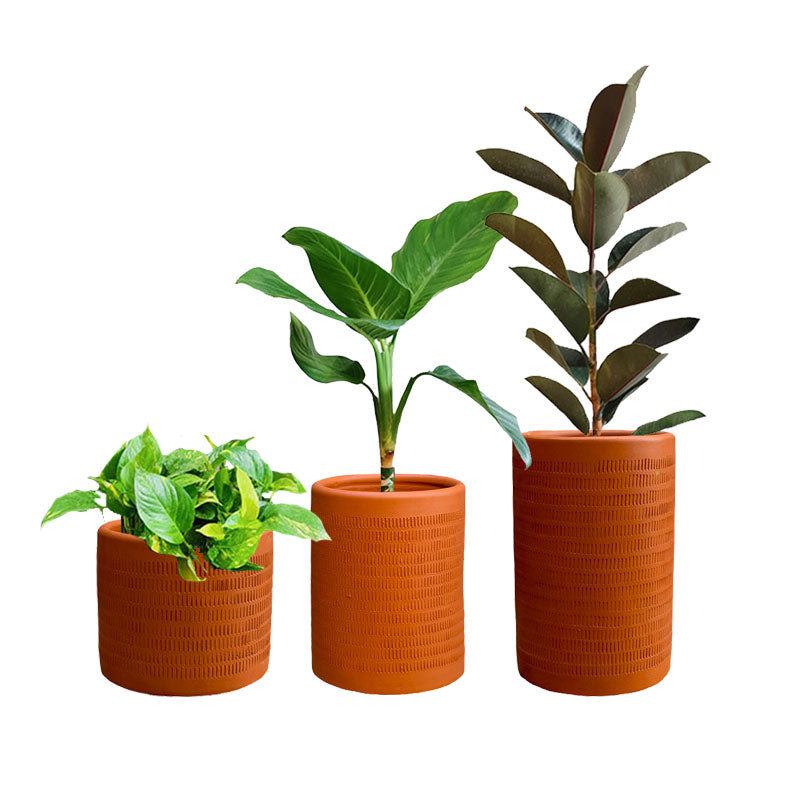Combo Textura + Plantas