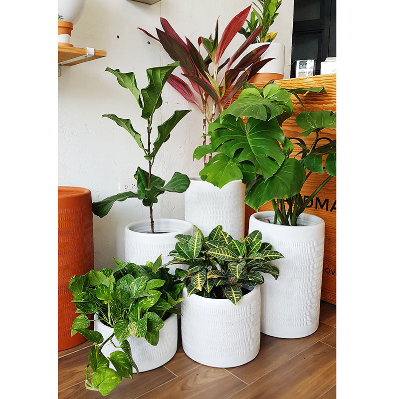 Cilindro Textura 30x60cm CON plato