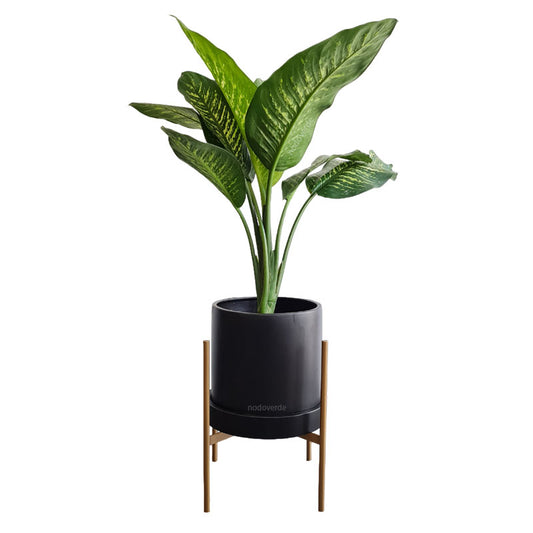 Cilindro Cerámica 30cm + Galatea Dieffenbachia