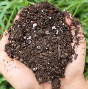 Sustrato (Tierra Preparada) para Macetas