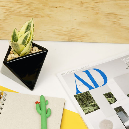 Tarjeta de Regalo #NODOVERDE