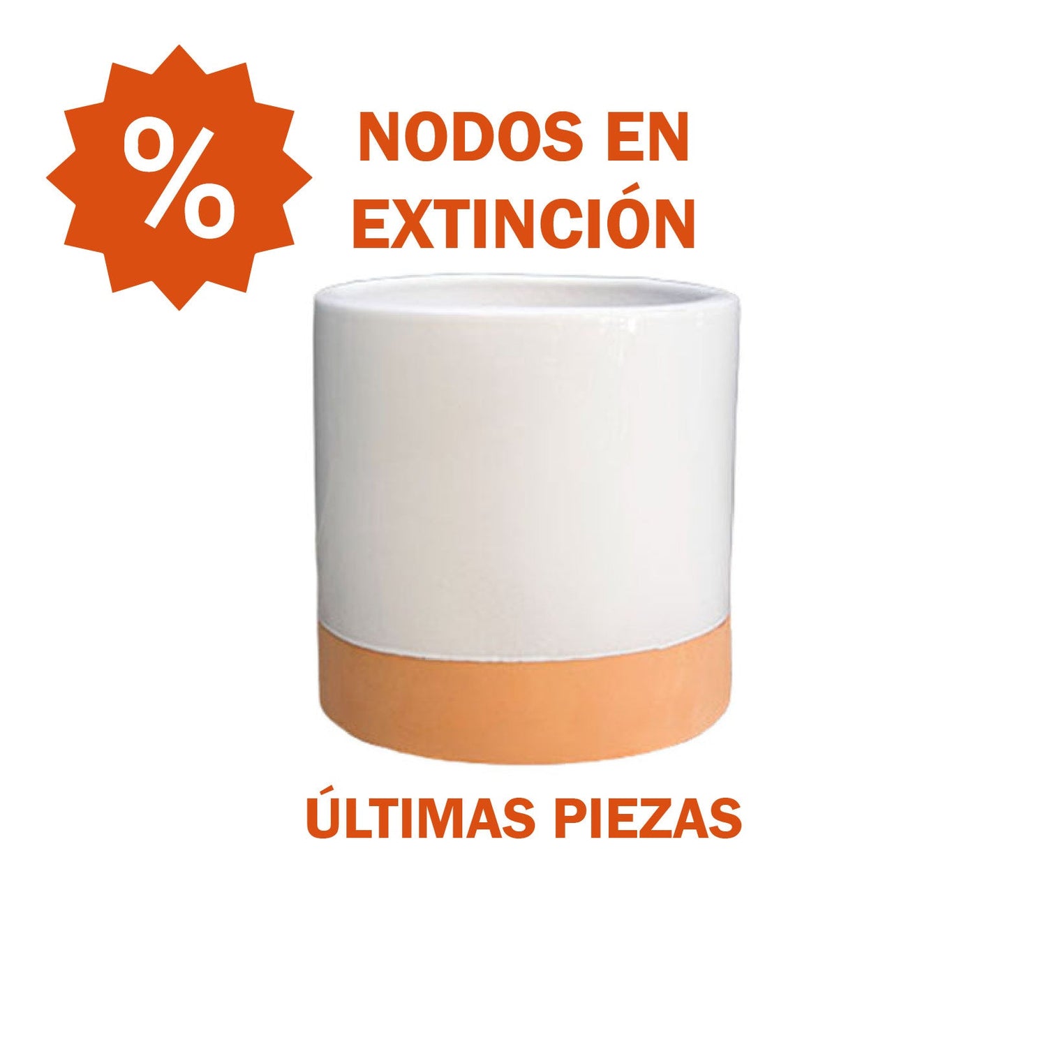 NODOS EN EXTINCIÓN