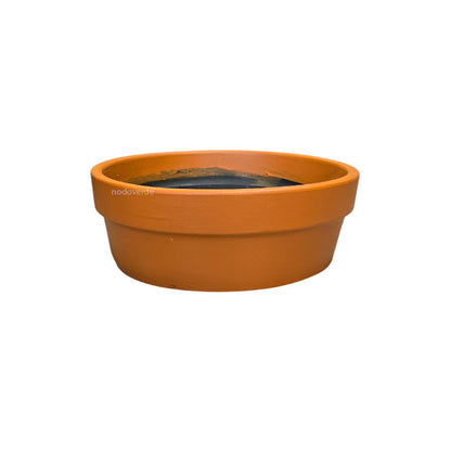 Cajete Tulipan de Barro⚠️4x3⚠️