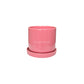 Cilindro 12cm CON Plato R2