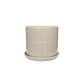 Cilindro 14cm CON Plato C1
