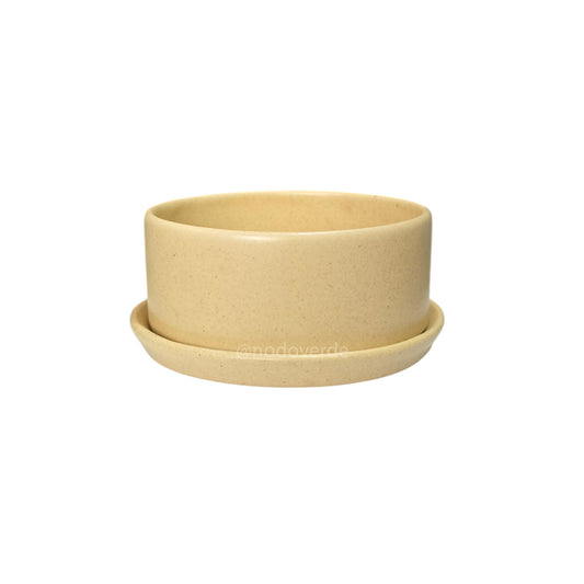 Cilindro 20x8cm CON Plato C3