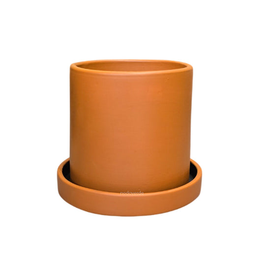 Cilindro B 20cm CON plato