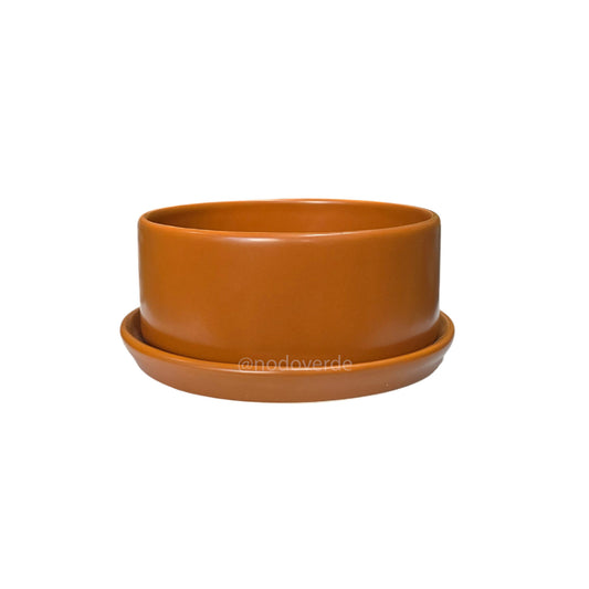 Cilindro 20x8cm CON Plato C3