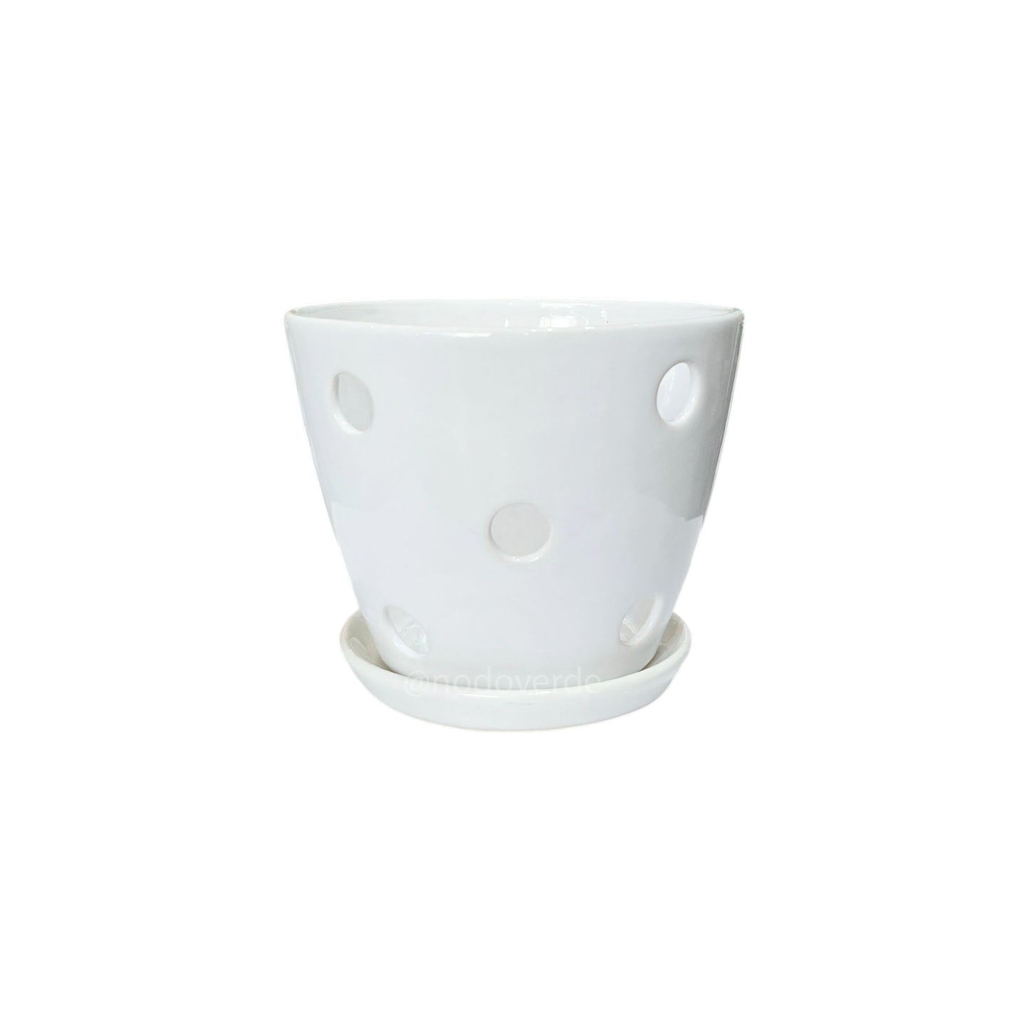 Cónica 13cm para Orquídeas CON Plato C