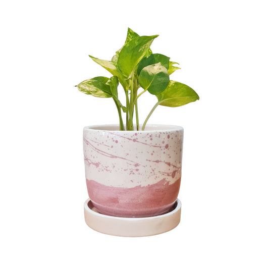 Maceta 'Elemento' + Julieta