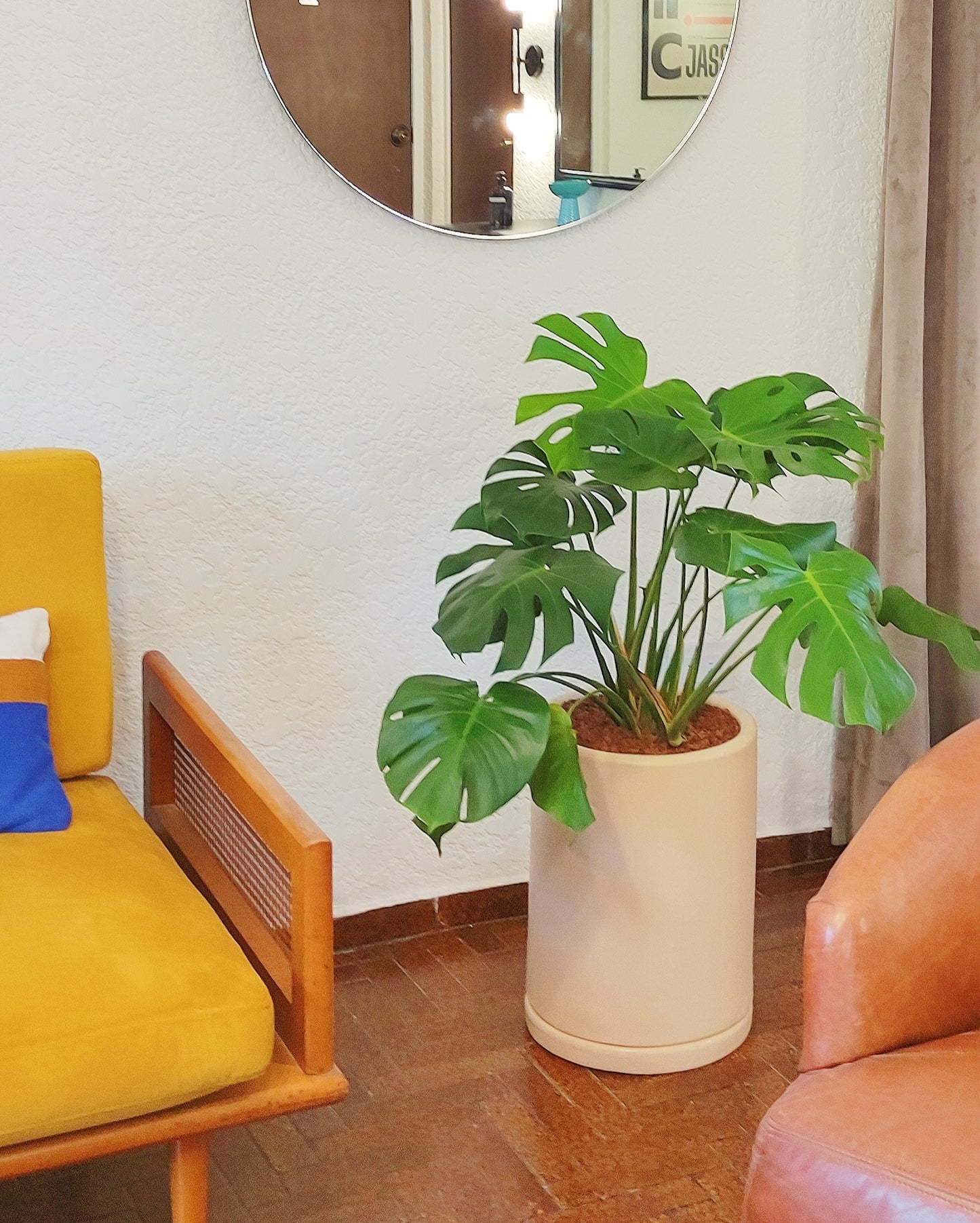 Cilindros SIN TEXTURA.