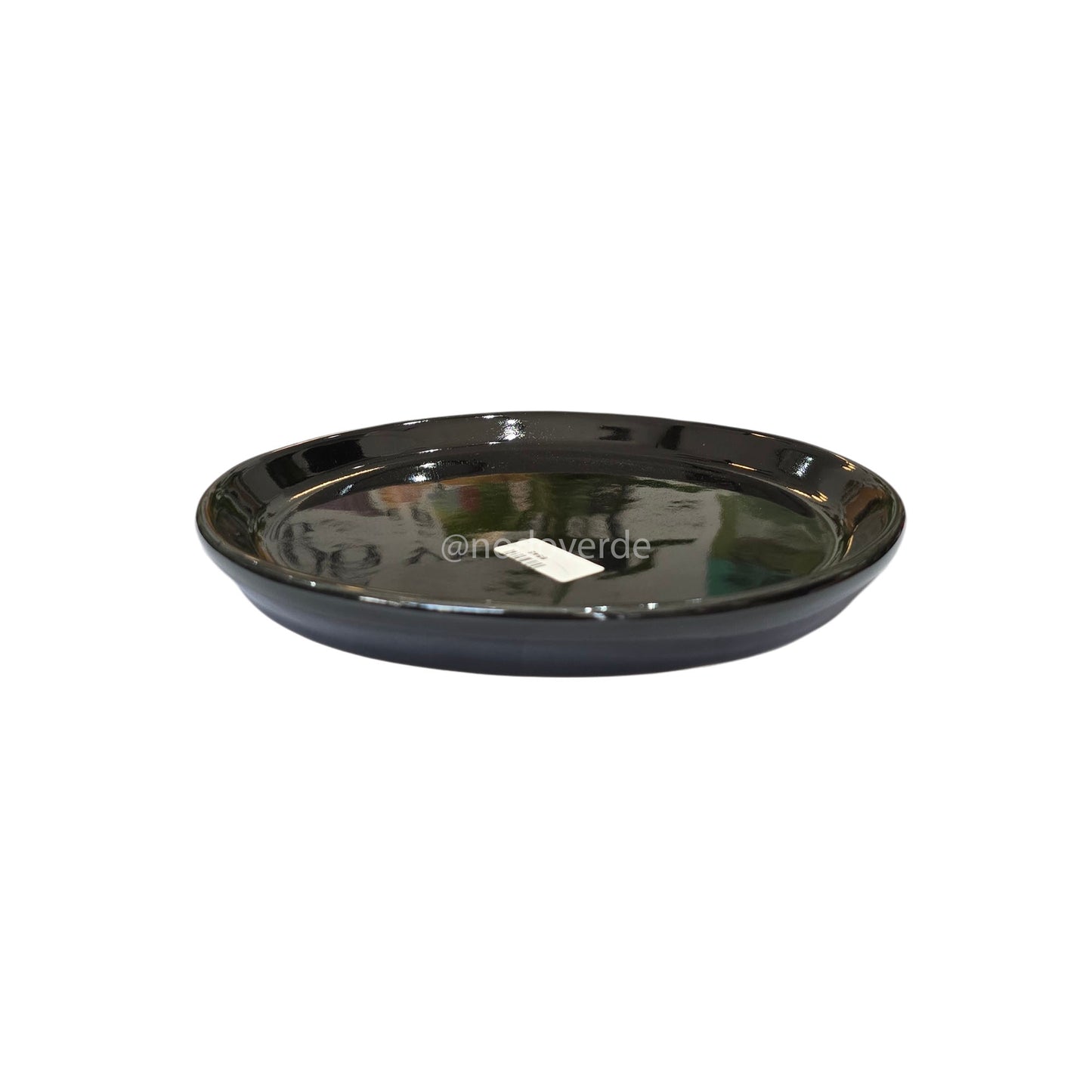 Plato C2 19.5cm