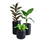 Set de 3 Cilindro Textura (25-40-50cm)