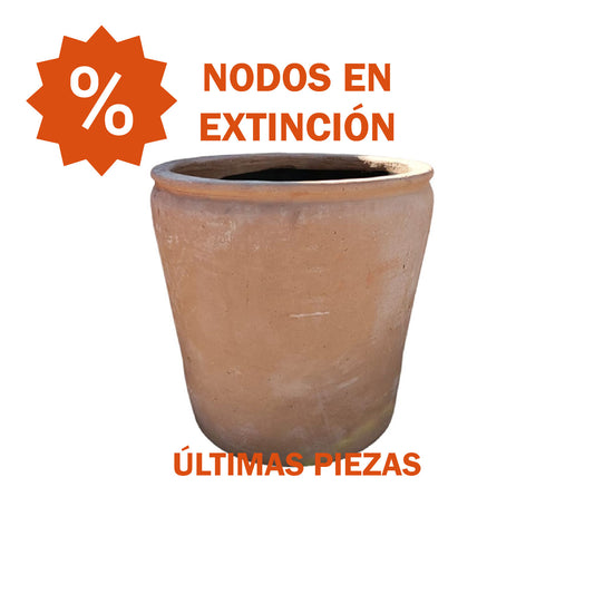 XL74