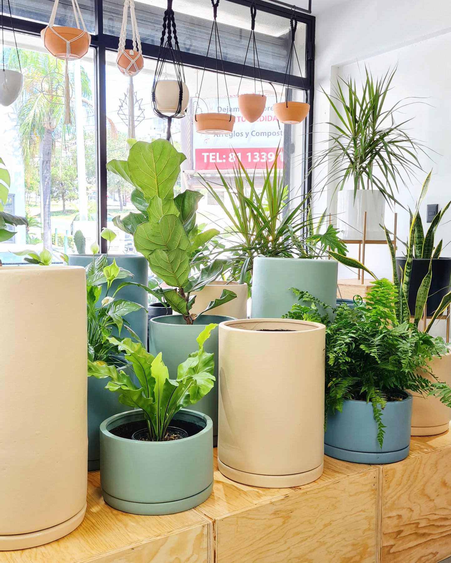 Cilindros SIN TEXTURA.