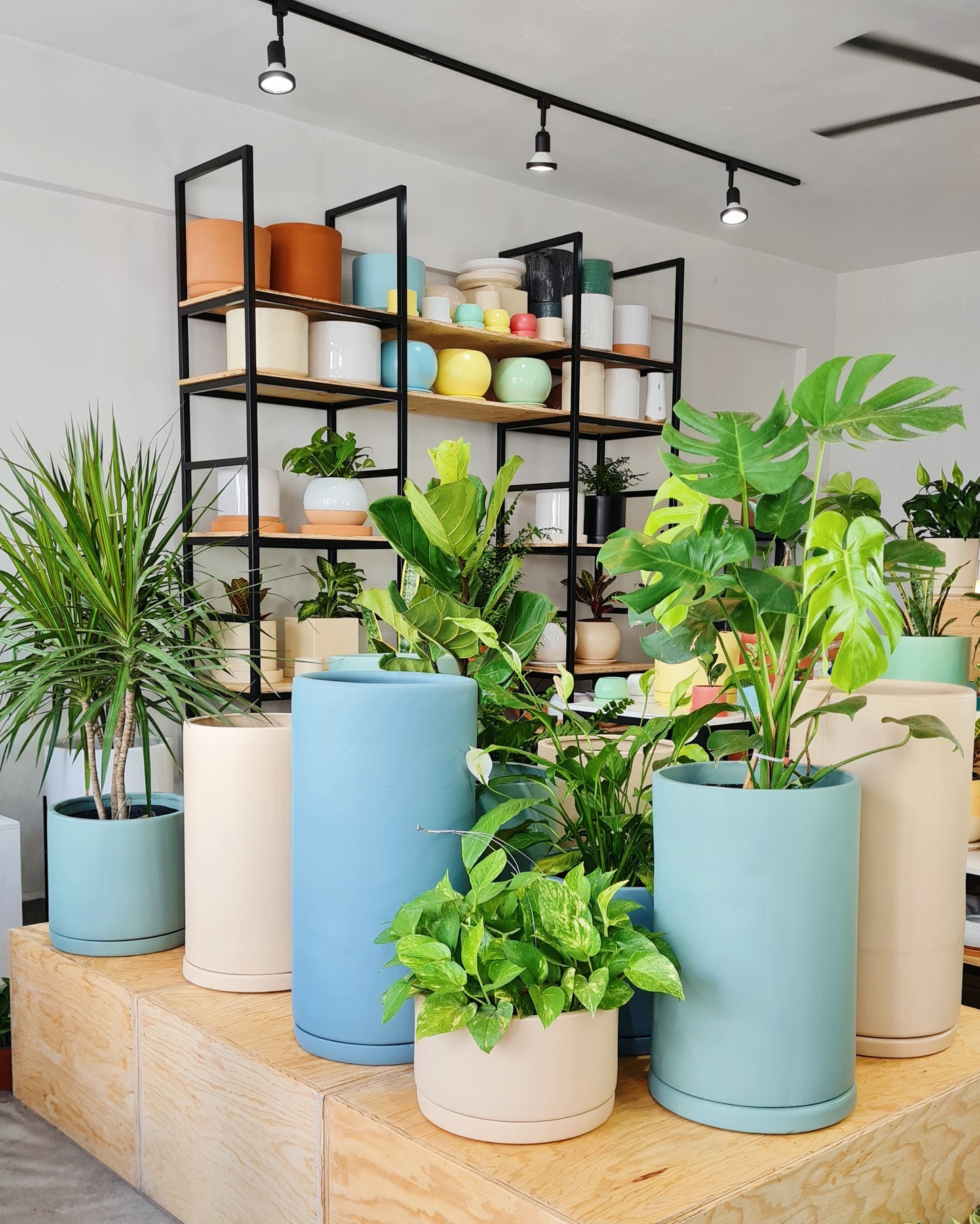 Cilindros SIN TEXTURA.