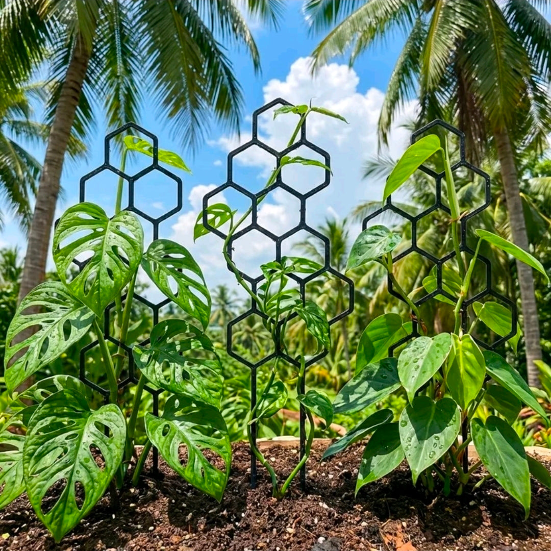 Tutor tipo Panal para plantas trepadoras - Guía