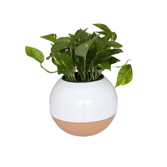 Maceta 'Menguante + Julieta