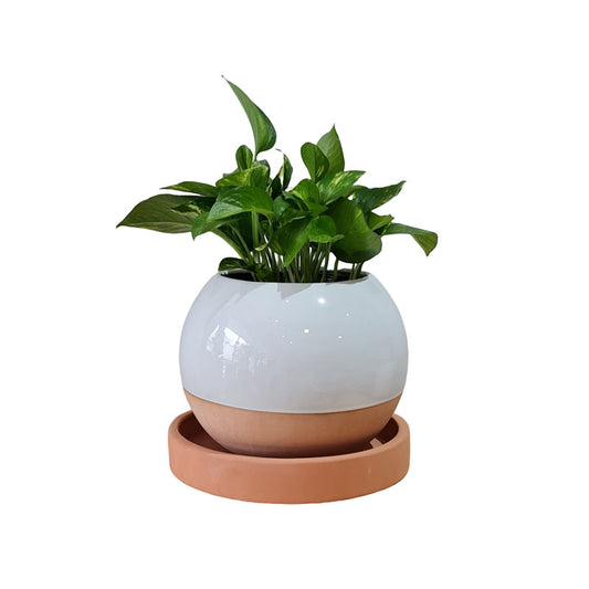 Esfera Menguante 20cm CON plato