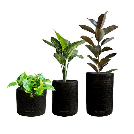 Combo Textura + Plantas