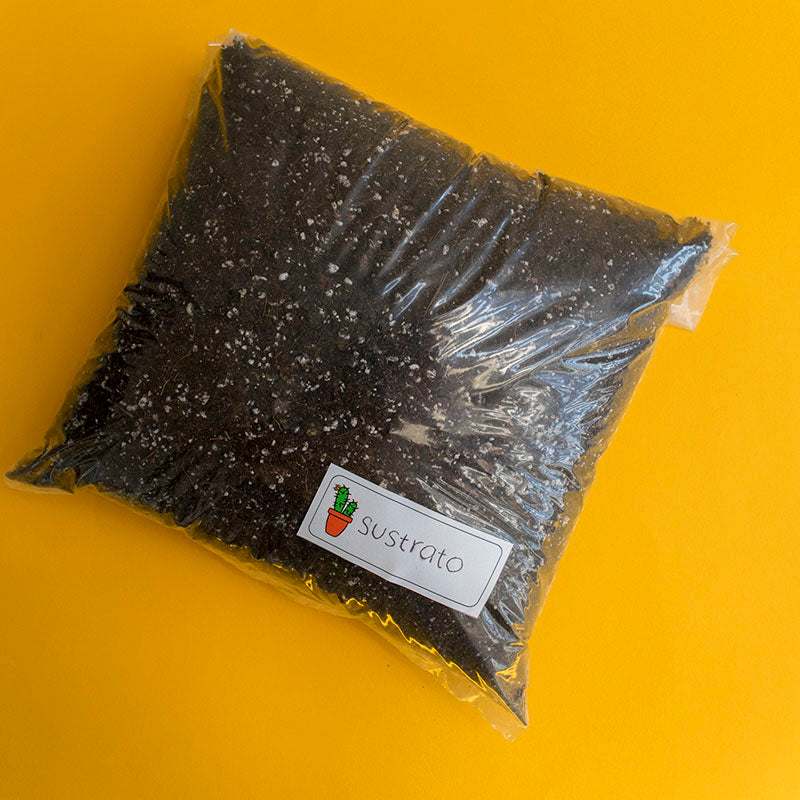 Sustrato para Cactus y Suculentas Nodo Verde