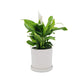 Cilindro Cerámica 15cm + Cuna de Moisés